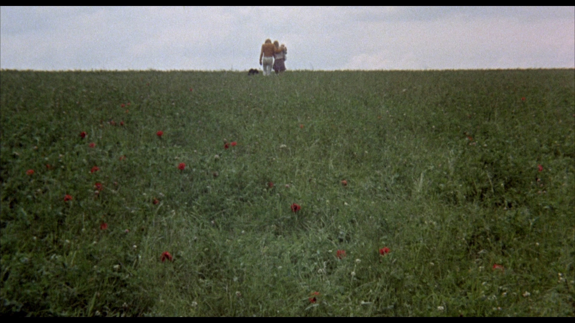 The Bed Sitting Room Bluray Rita Tushingham Dudley Moore